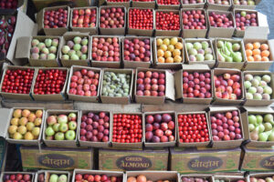 Fruits of Himachal
